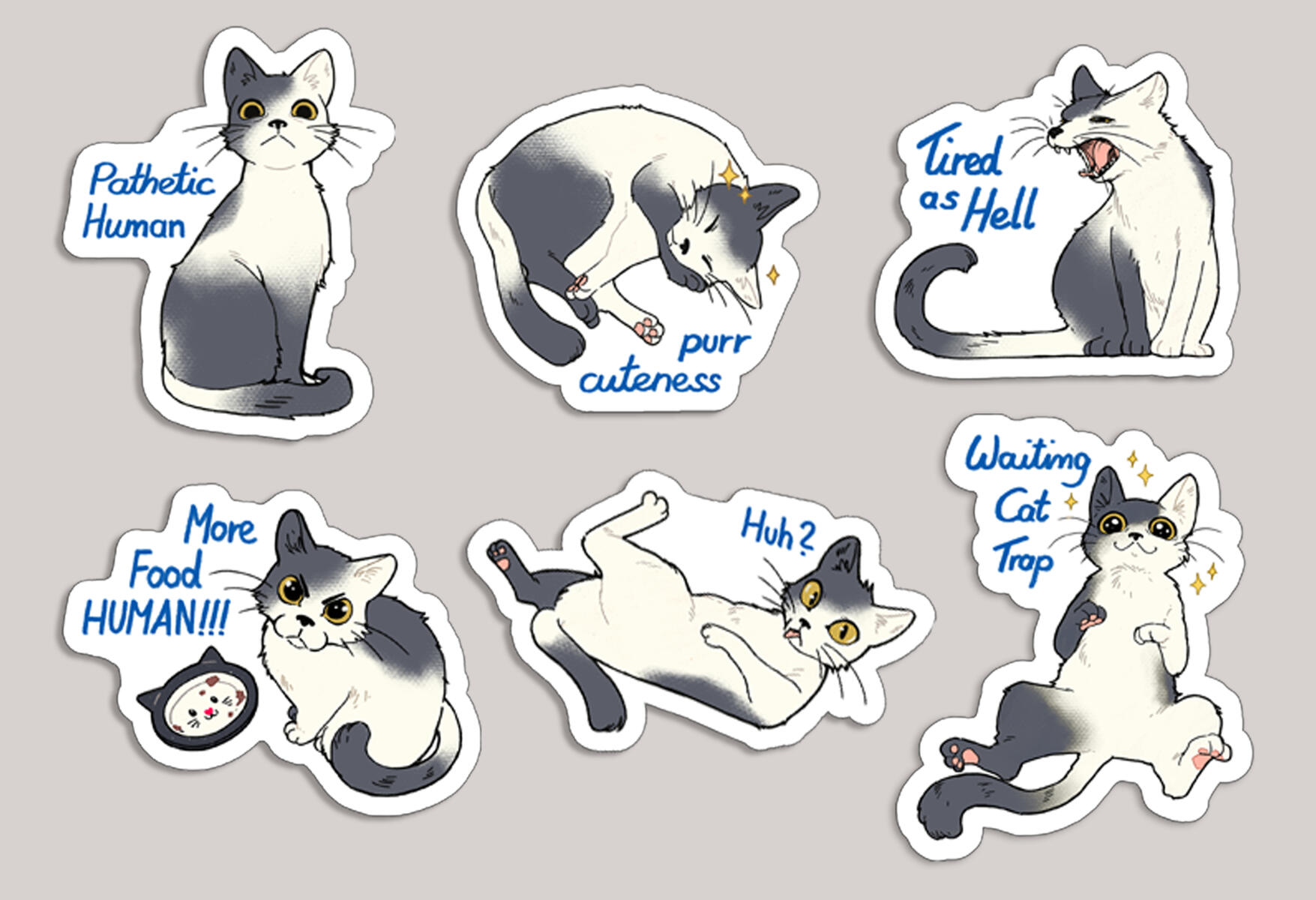 Cat Sticker